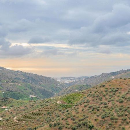 Cortijo La Encina Villa Sayalonga Bagian luar foto