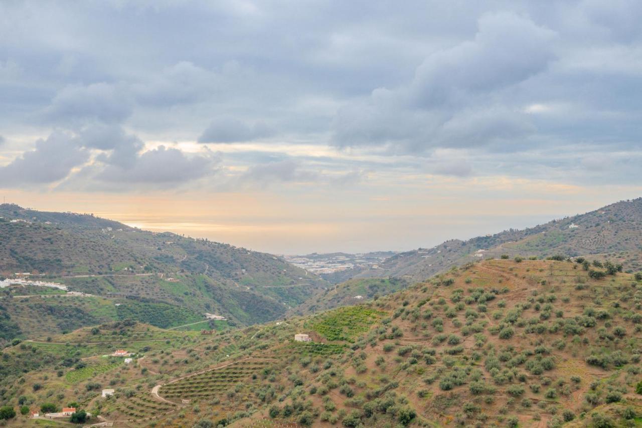 Cortijo La Encina Villa Sayalonga Bagian luar foto